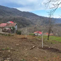 زمین مسکونی با پروانه در دل جنگل