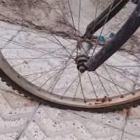 دوچرخه 24|دوچرخه، اسکیت، اسکوتر|نورآباد, |دیوار