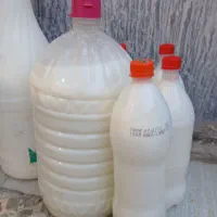 دوغ وشیر محلی براتمام مراسمات پذیرفته میشود