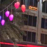 ریسه دکوراتیومبلمان شهری المان نوری المان خاص|ریسه و چراغ تزئینی|تهران, منیریه|دیوار