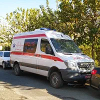 میکانیک و صافکارونقاش