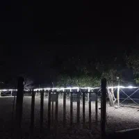 دوره آموزش سوارکاری اصولی از مبتدی تا پیشرفته|خدمات آموزشی|سنندج, |دیوار