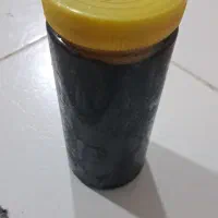 شکرک بلوط