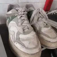 کفش|کیف، کفش، کمربند|تربتحیدریه, آسایش|دیوار