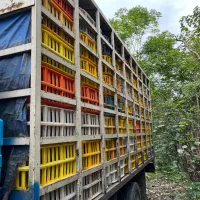 خاور فروشی|خودرو سنگین|رشت, استقامت ۱|دیوار