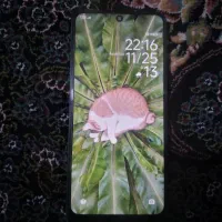 ردمی نوت ۱۲|موبایل|خاش, |دیوار