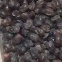 فروش خرمامضافتی