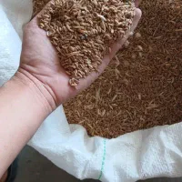 فروش گندم دره شهر