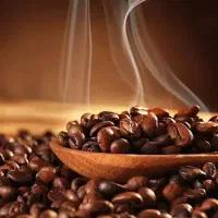 پخش عمده دان،پودریجات و ملزومات قهوه