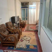 نظافت داخل منزل( خانم مجرد)