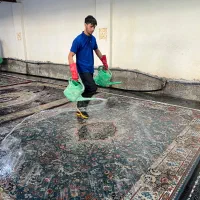 قالیشویی طلوع (تابان سابق)شریف آباد پاکدشت