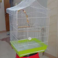 قفس پرنده