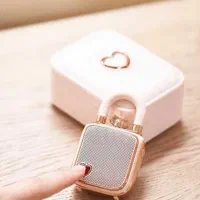 اسپیکر بلوتوث کوچک دیووم مدل Love|سیستم صوتی خانگی|قم, شاد قلی|دیوار