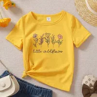 فروش عمده تیشرت رنگی|لباس|قدس, شهرقدس|دیوار