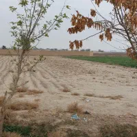 زمین ۳۲۰۰ متری با بر ۳۰ متر بر جاده  و برق سر زمین|فروش زمین و ملک کلنگی|جوادآباد, |دیوار