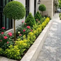 خدمات باغبانی وهرسکاری گولدون درتمام نقات تهران