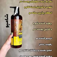 شامپوارگان|حراج|مشهد, آزادشهر|دیوار