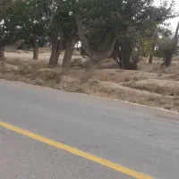 فروش زمین شاهنامه ۶۹آرامگاه فردوسی شهرک ویلای زاک|فروش زمین و ملک کلنگی|مشهد, توس (بلوار توس)|دیوار