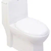 فرنگی ،چینی کرد