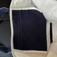 توت بگ جیم شارک