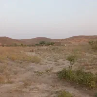 باغچه 1000 متری ملک آباد نزدیک شهر|فروش دفتر صنعتی، کشاورزی، تجاری|ملک‌آباد, |دیوار