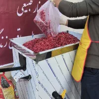 آب انار تازه از باغ . طبیعی فقط لیتری ۱۰۰هزار