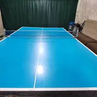 میز پینگ پنگ