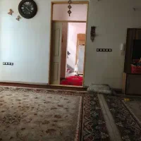 گرب|گربه|بروجرد, |دیوار