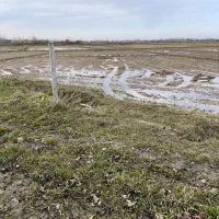 زمین کشاورزی مکانیزه|فروش دفتر صنعتی، کشاورزی، تجاری|لاهیجان, لیالستان|دیوار