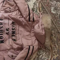 کاپشن|لباس|اردبیل, |دیوار