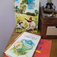 سه کتاب آنتیک قدیمی فرانسوی مصور رنگی وینتیج عکاسی|کتاب و مجله ادبی|تهران, منیریه|دیوار