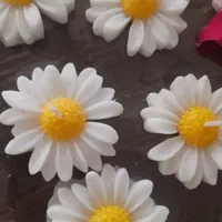 حراج|حراج|اصفهان, آبشار|دیوار