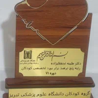 لوح تقدیر،تندیس برای تمام مناسبتها|مجسمه، تندیس، ماکت|تبریز, |دیوار