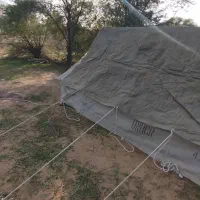 چادر خیمه خارجی نظامی|کوهنوردی و کمپینگ|اهواز, معین زاده|دیوار