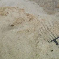 کاه خرمن کوبی کردستان