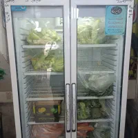 یخچال مغازه ایستاده