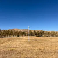 زمین زراعی|فروش دفتر صنعتی، کشاورزی، تجاری|خلخال, |دیوار