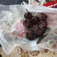 میخک