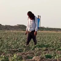 فروش زمین ۱۰ هکتار