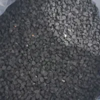 بذر پیاز محلی بلبان آباد