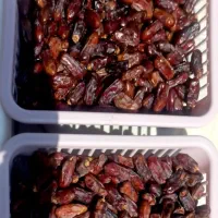خرمای آجیلی|خوردنی و آشامیدنی|لامرد, |دیوار
