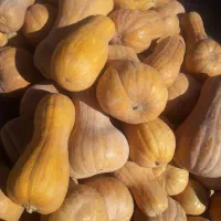 کوله که محلی درجه یک|خوردنی و آشامیدنی|بانه, |دیوار