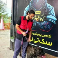 سگ .آموزش .پانسیون.مشاوره|خدمات پیشه و مهارت|سنگر, |دیوار