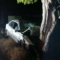 سمند تصادفی مدل87