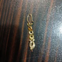 گوشواره گم شده