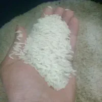 فروش برنج هاشمی