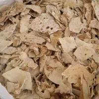 نان خشک ساندویجی