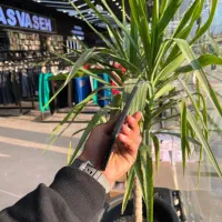 گوشی ردمی 13|موبایل|مشهد, شهید بصیر|دیوار