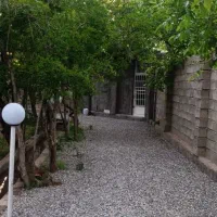 دورهمی بانوان امروز نهم آبان ماه در تالار