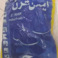 کفش ایمنی کار